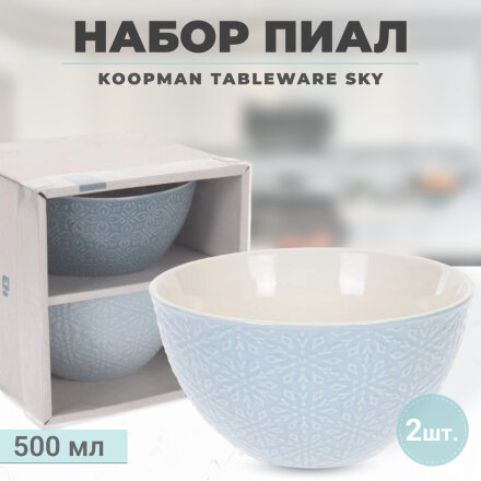 Набор пиал Koopman tableware Sky 500 мл 2  шт в Москве 