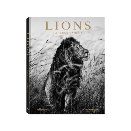 Lions Книга в Москве 