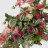 Букет из искусственных цветов Фитопарк пунш в ассортименте в Москве 