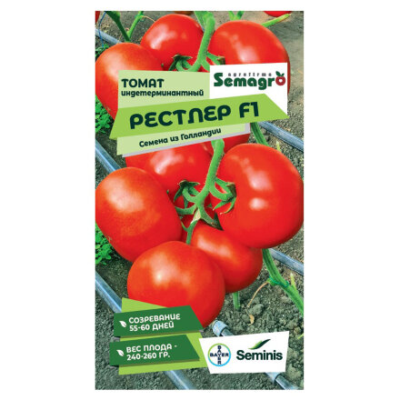 Семена Seminis томат индетерминантный рестлер f1 в Москве 