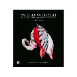 Wild World Книга
