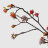Ветка с цветами Конэко-О 108514 в ассортименте в Москве 