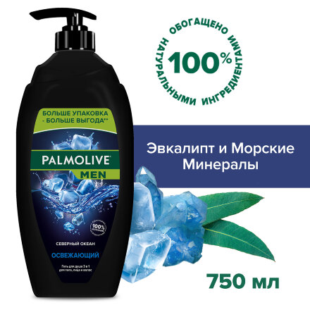 Гель для душа мужской Palmolive MEN Северный океан с морскими минералами 3 в 1 для тела, волос и лица, 750 мл в Москве 