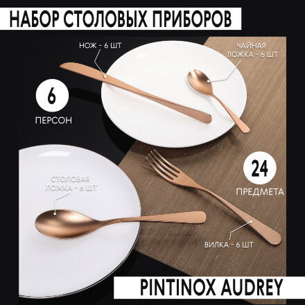 Набор столовых приборов Pintinox Audrey Cop 24 предмета 6 персон в Москве 