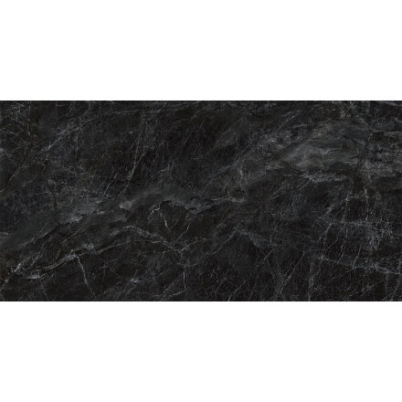 Плитка Kerama Marazzi Риальто серый темный 119,5x238,5 см SG592502R в Москве 
