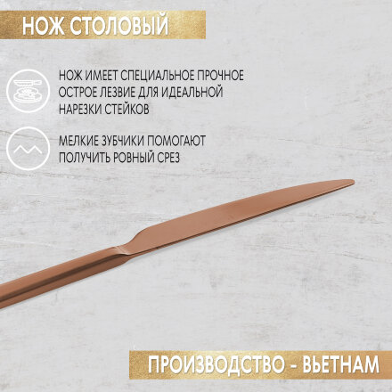 Набор столовых приборов Pintinox Satin cop 24 предмета 6 персон в Москве 