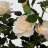 Роза Tianjin в кашпо желтая искусственная 137 см в Москве 